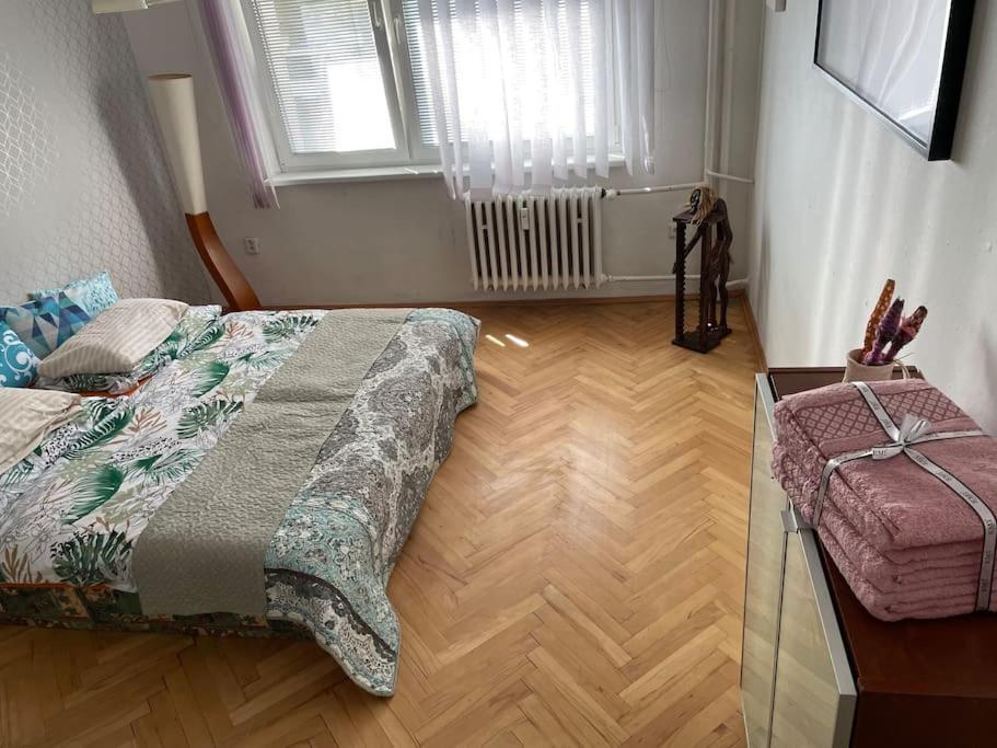 2,5 Izbovy Apartman V Ruzinove S Parkovanim Zdarma 브라티슬라바 외부 사진