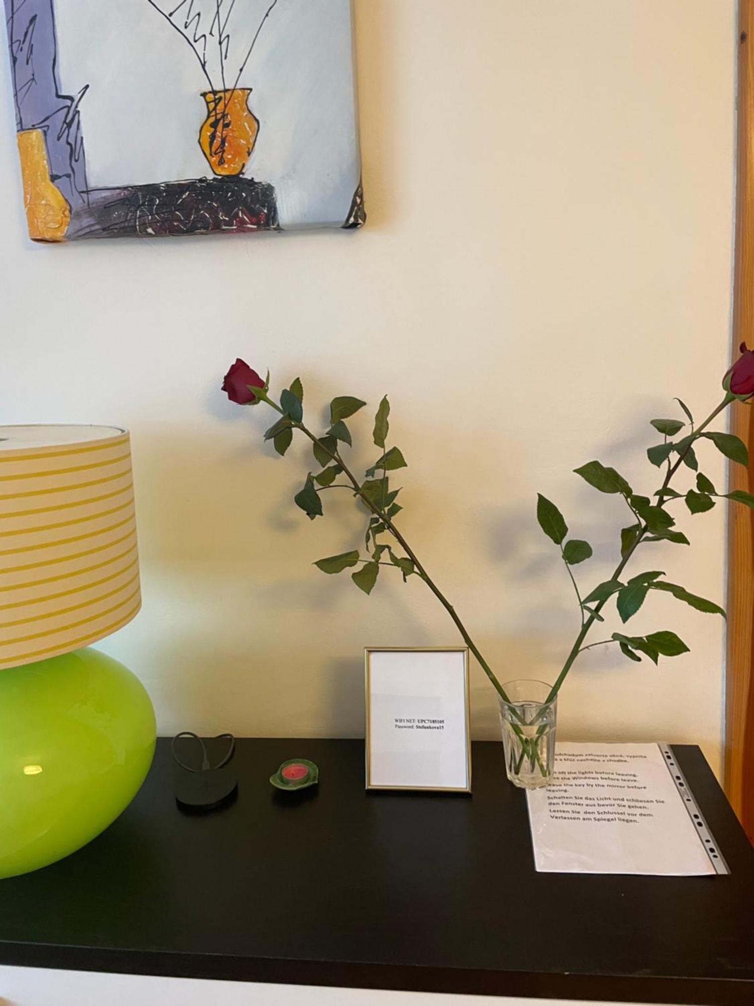 2,5 Izbovy Apartman V Ruzinove S Parkovanim Zdarma 브라티슬라바 외부 사진